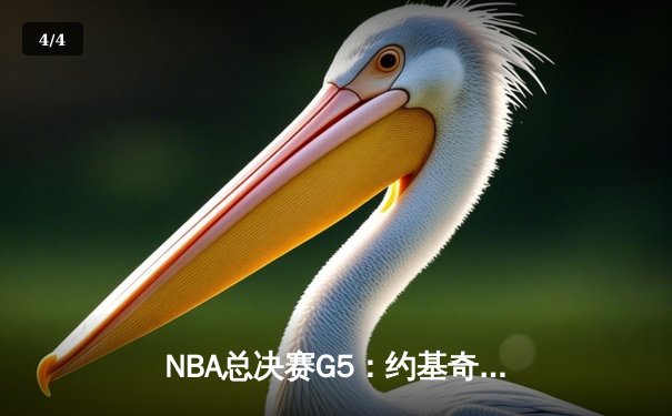 NBA总决赛G5：约基奇40+15创历史 掘金加时险胜热火夺赛点 - 4
