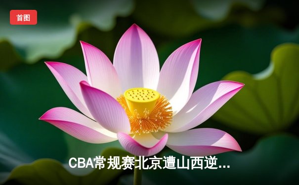 CBA常规赛北京遭山西逆转 张宁末节独砍18分导演大翻盘